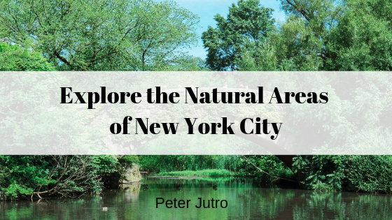 Explore the Natural Areas of New York City