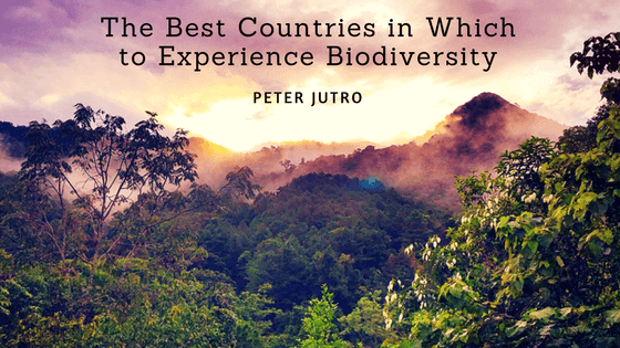 Peter Jutro- The Best Countries in Which to Experience Biodiversity
