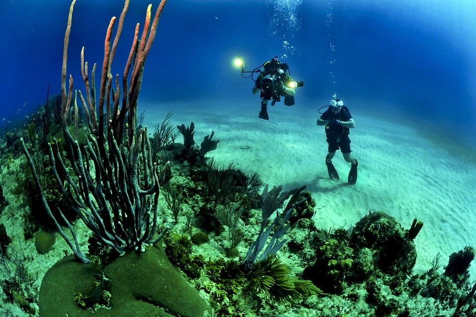 Top Travel Destinations for Divers
